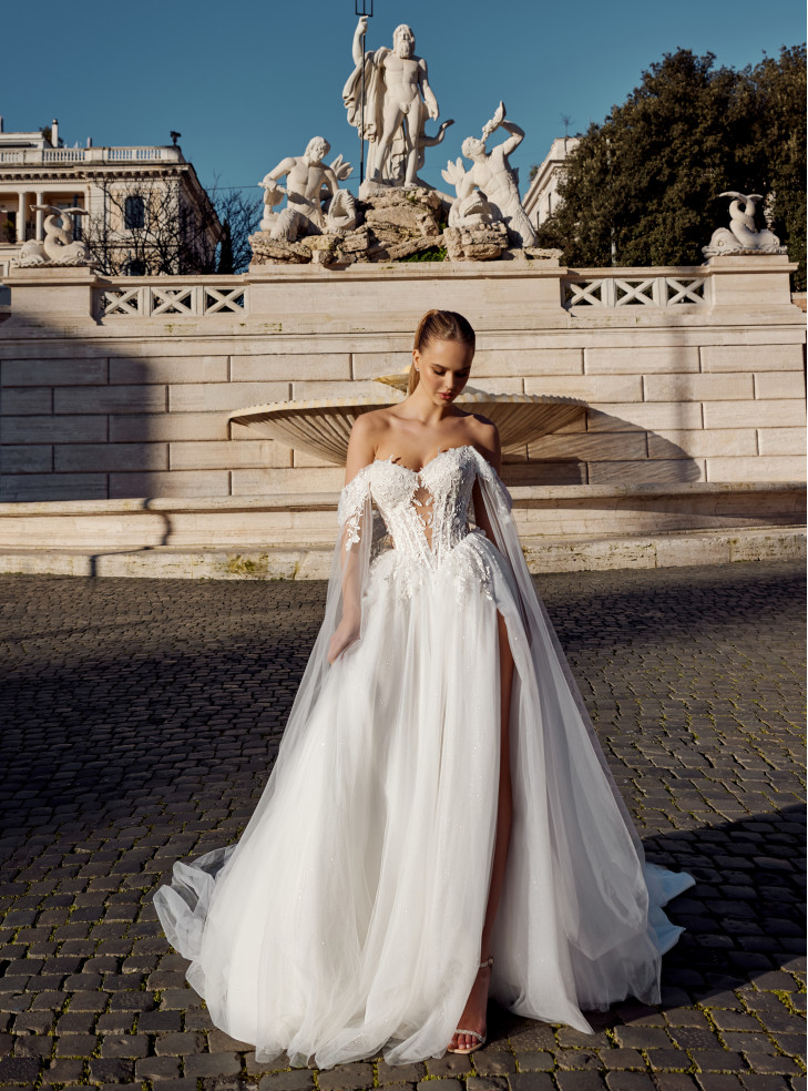 pavia(3)-729x984
